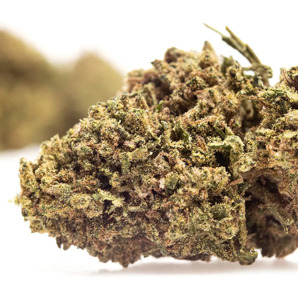 KGS_TRUFFLE_OG_CBD_004.webp