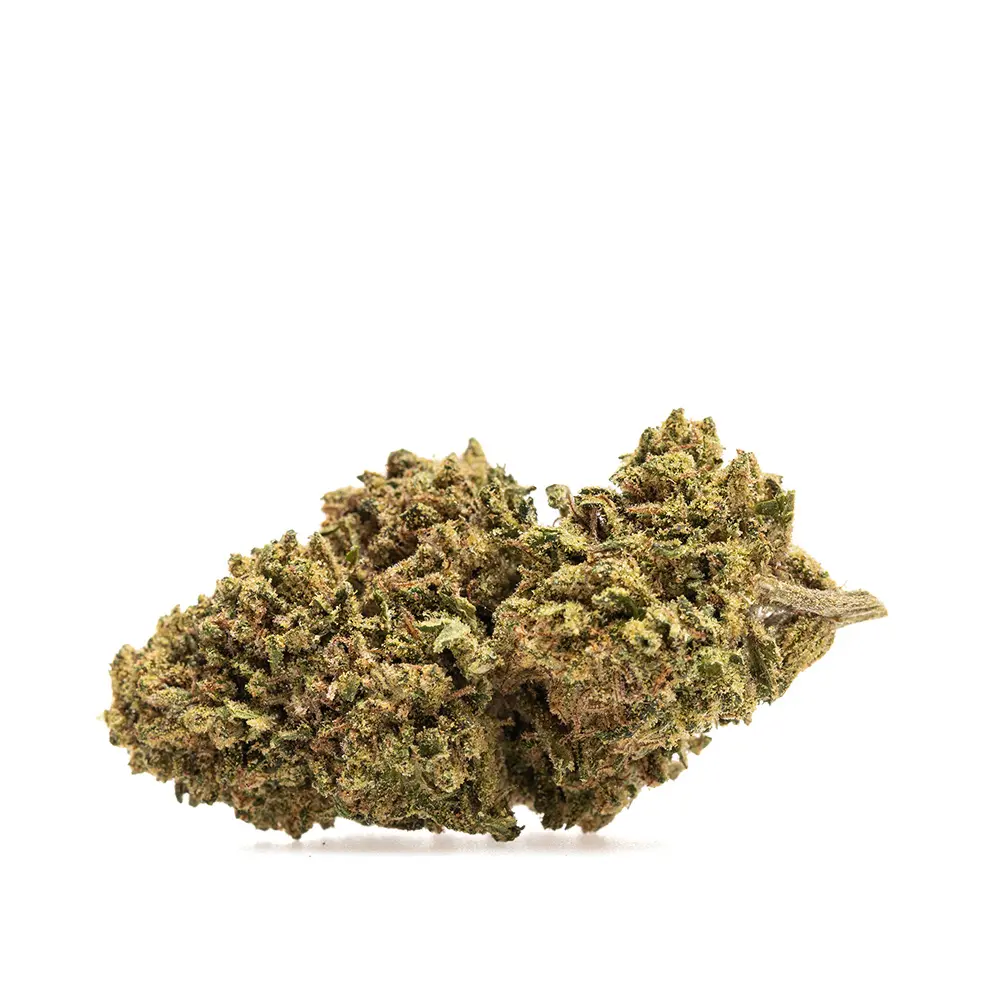 KGS_TRUFFLE_OG_CBD_002.webp