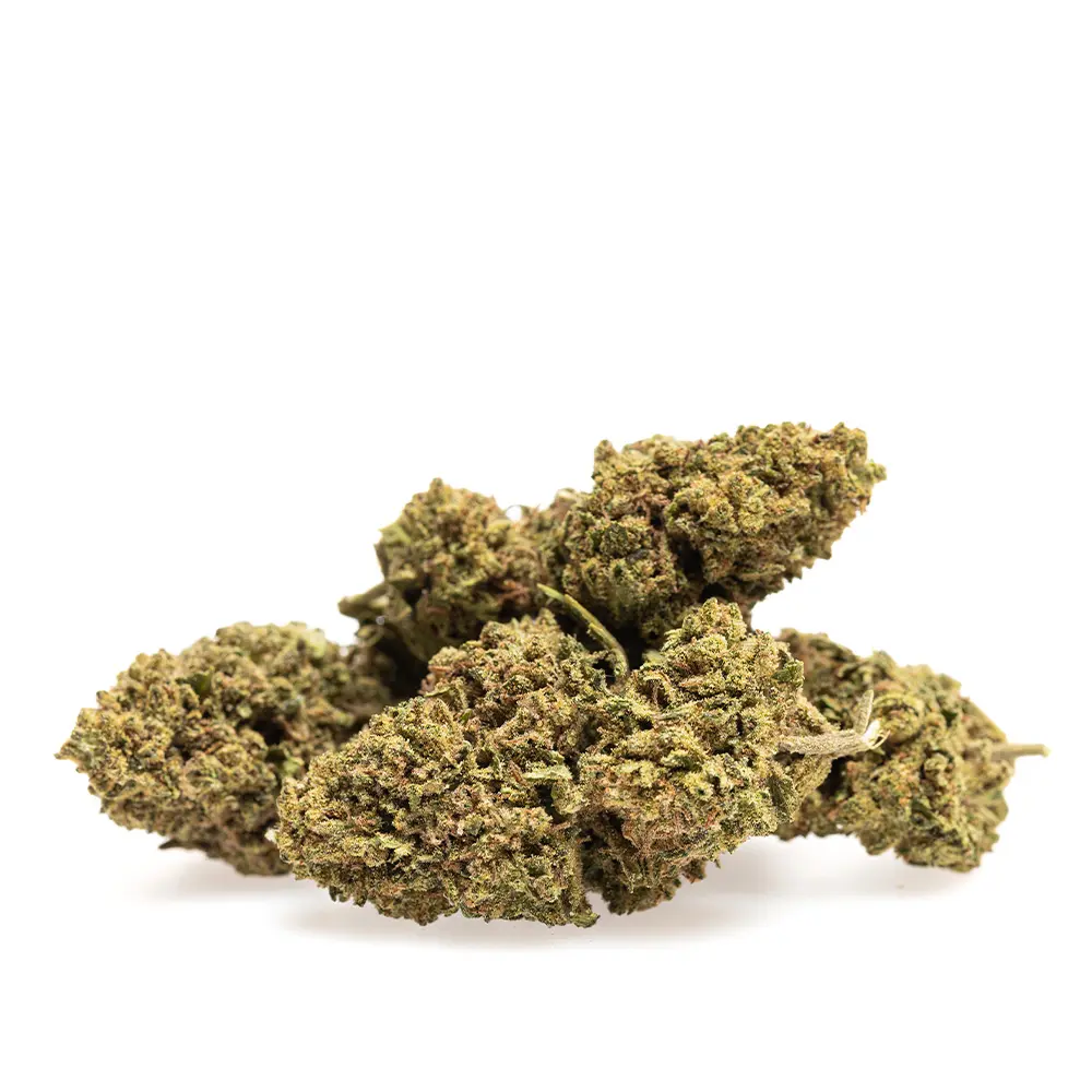 KGS_TRUFFLE_OG_CBD_003.webp