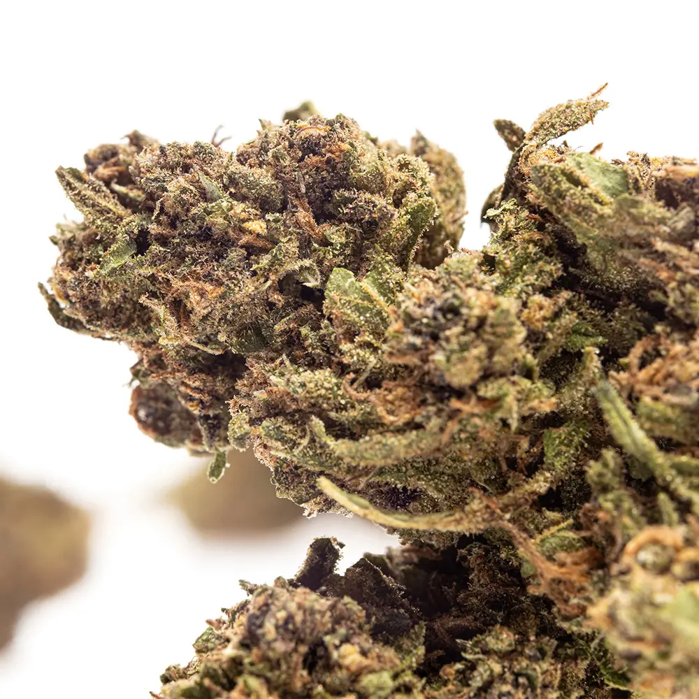KGS_SOUR_SPRITZ_V2_CBD_004.webp