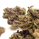 KGS_SOUR_SPRITZ_V2_CBD_004.webp