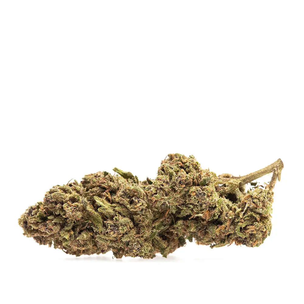 KGS_SOUR_SPRITZ_V2_CBD_002.webp