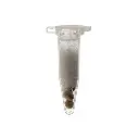 KGS_ZKITTLEZ_THC_SEEDS_002.webp