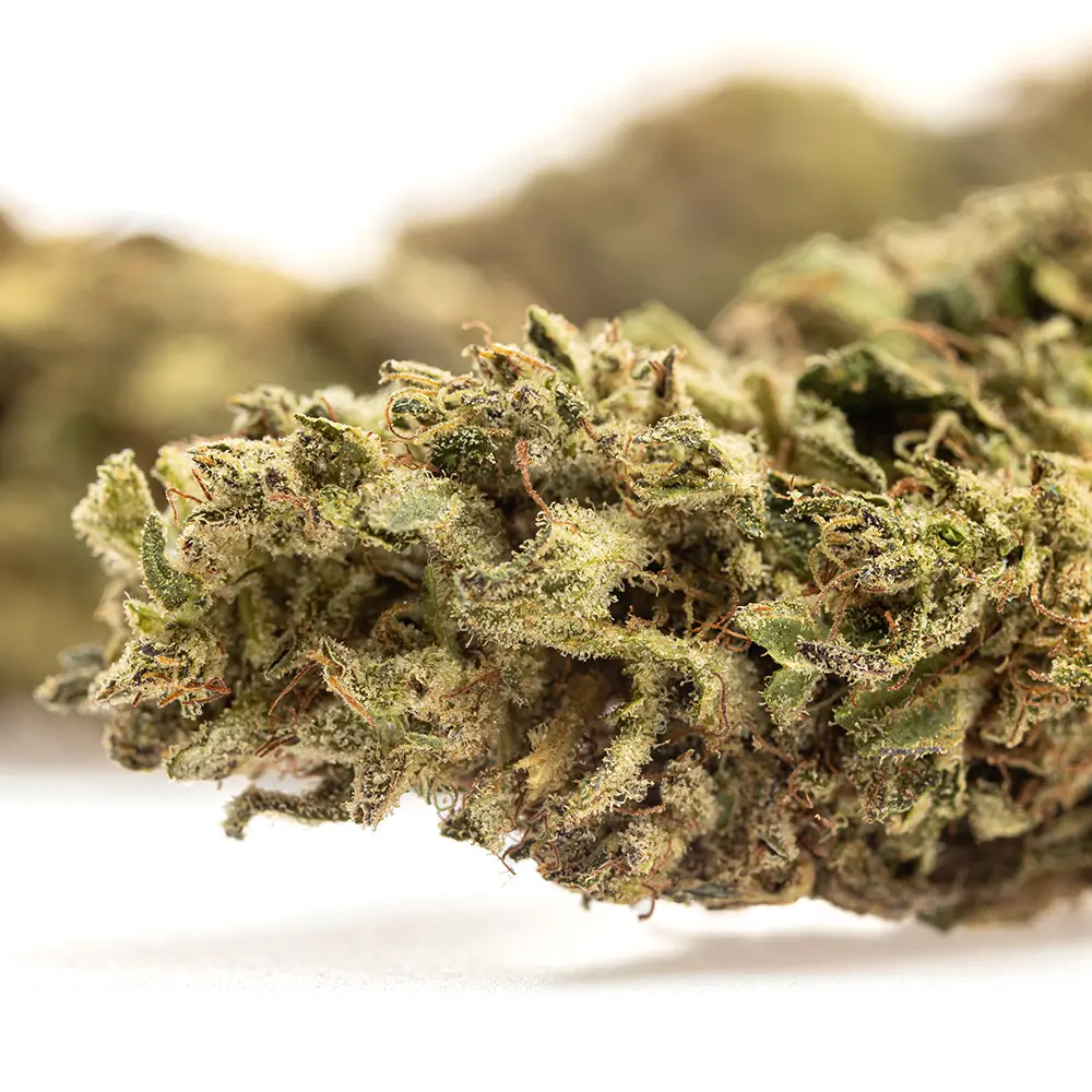 KGS_LEMON_ZEST_CBD_004.webp