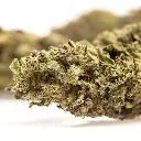 KGS_LEMON_ZEST_CBD_004.webp