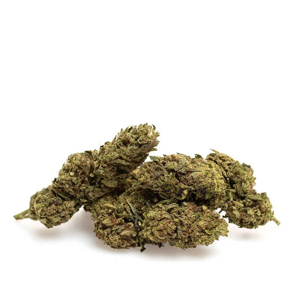 KGS_LEMON_ZEST_CBD_003.webp