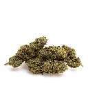 KGS_LEMON_ZEST_CBD_003.webp