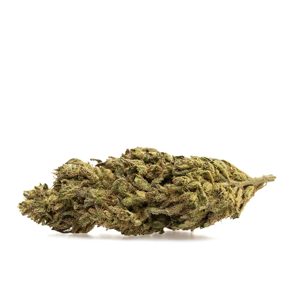 KGS_LEMON_ZEST_CBD_002.webp