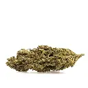 KGS_LEMON_ZEST_CBD_002.webp