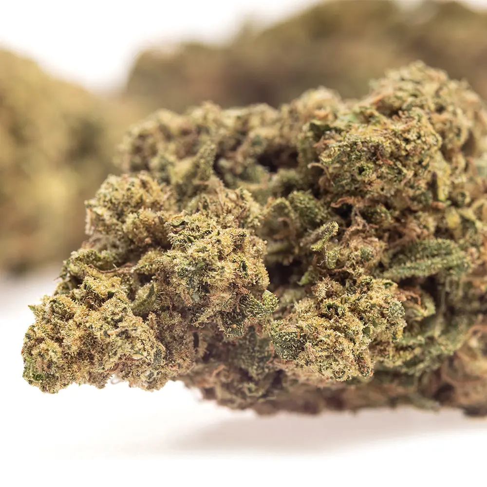 KGS_LA_CONFIDENTIAL_V2_CBD_004.webp