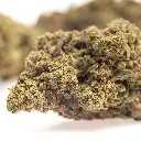 KGS_LA_CONFIDENTIAL_V2_CBD_004.webp