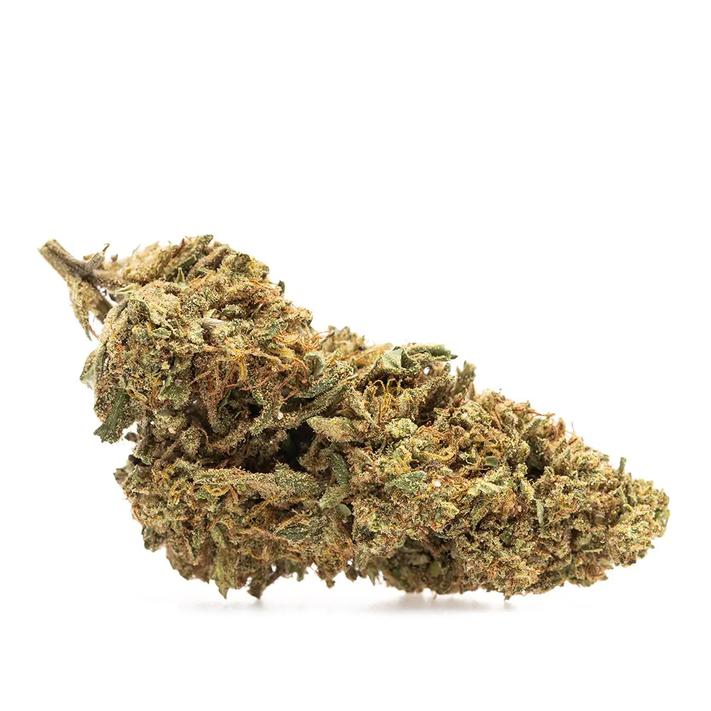 KGS_GUAVA_KUSH_CBD_002.webp
