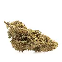 KGS_GUAVA_KUSH_CBD_002.webp