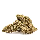 KGS_GUAVA_KUSH_CBD_003.webp