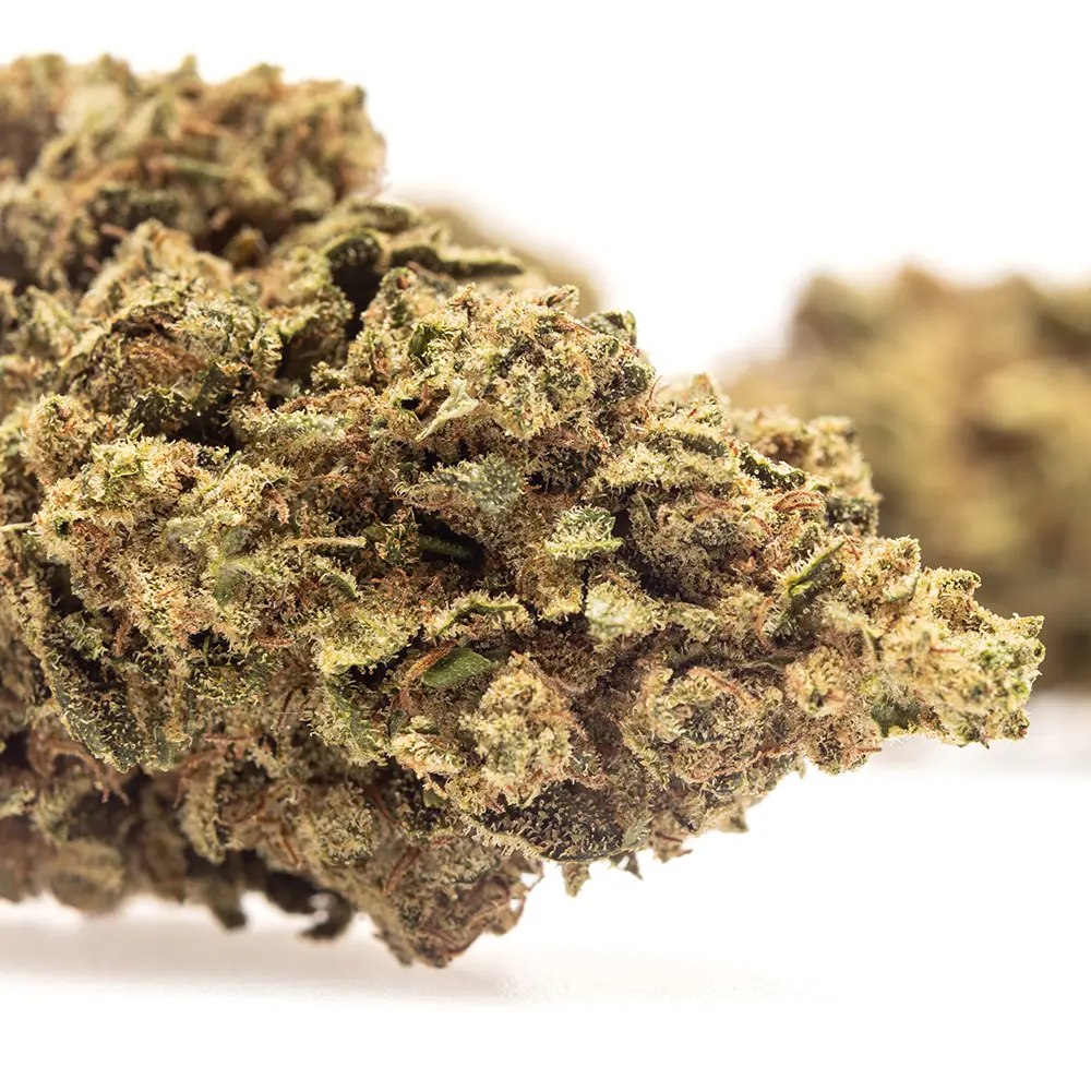 KGS_LEMON_KUSH_CBD_004.webp