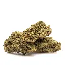 KGS_LEMON_KUSH_CBD_003.webp