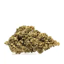 KGS_LEMON_KUSH_CBD_002.webp