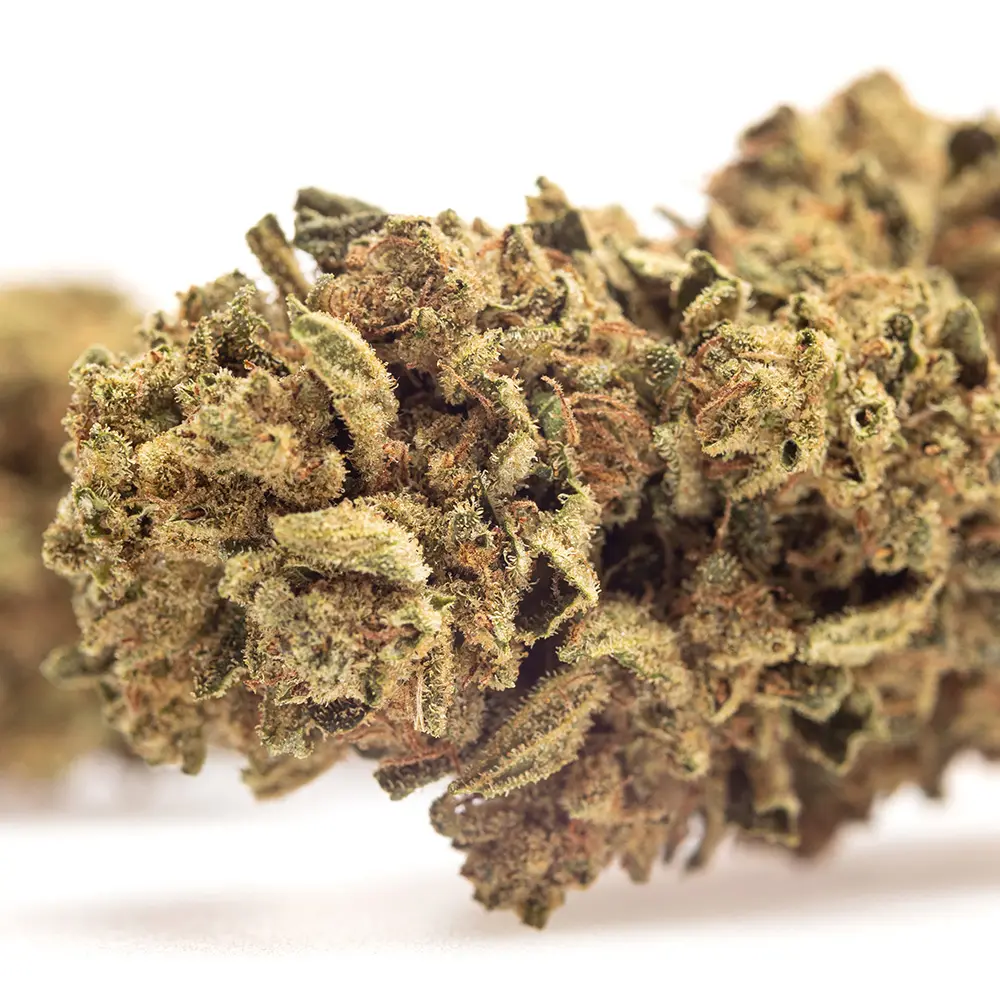 KGS_SKUNK_CBD_004.webp