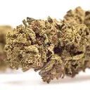 KGS_SKUNK_CBD_004.webp