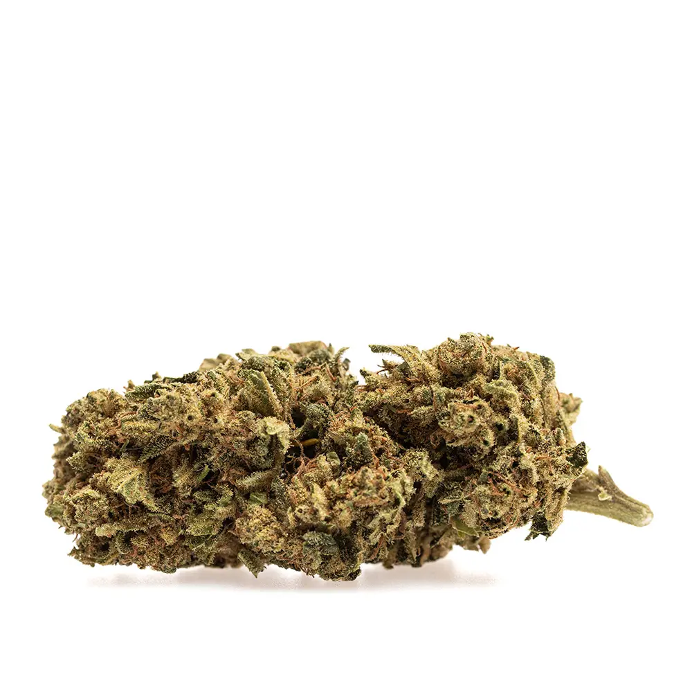 KGS_SKUNK_CBD_002.webp