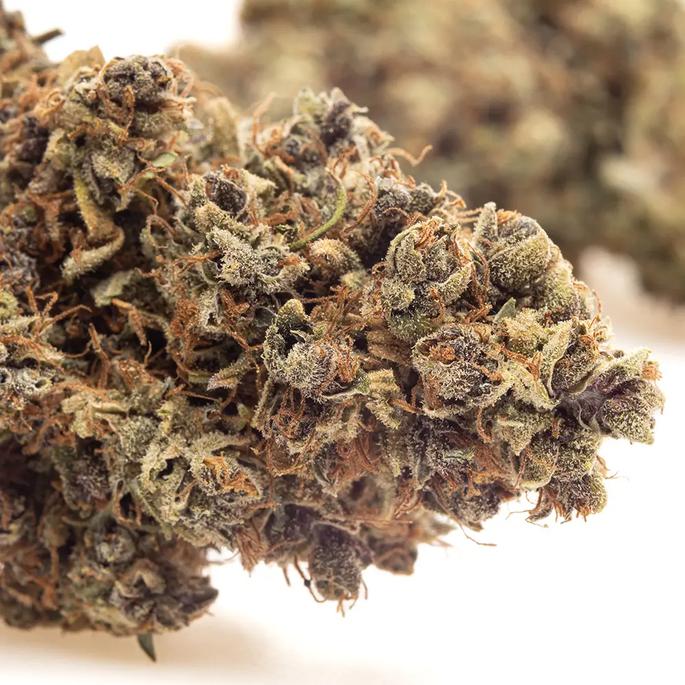 KGS_PINK_PINEAPPLE_CBD_004.webp
