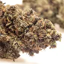 KGS_PINK_PINEAPPLE_CBD_004.webp