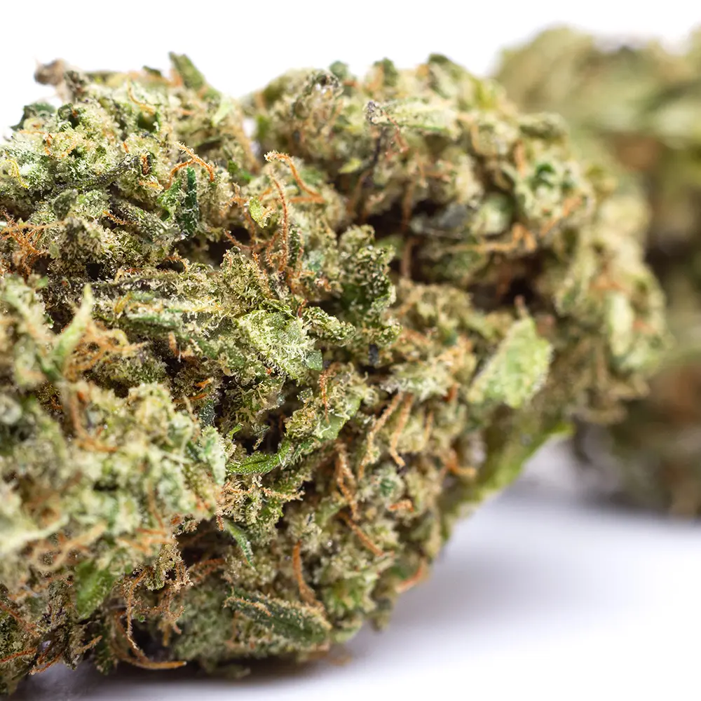 KGS_MANGO_ZKITTLEZ_CBD_004.webp
