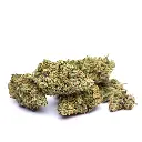 KGS_MANGO_ZKITTLEZ_CBD_003.webp