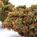 STRAWBERRY_SHORTCAKE_CBD_004.webp