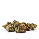 STRAWBERRY_SHORTCAKE_CBD_003.webp