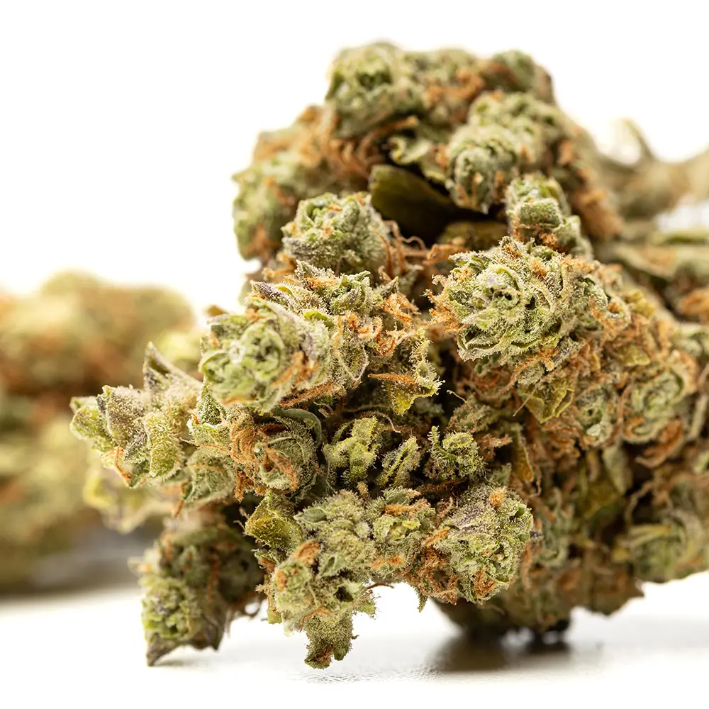KGS_AMNESIA_HAZE_CBD_004.webp