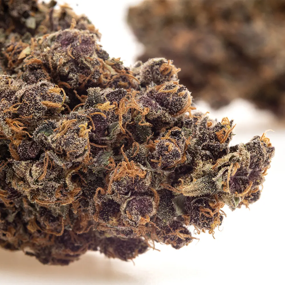 KGS_BLOOD_ORANGE_2.0_CBD_004.webp