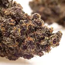 KGS_BLOOD_ORANGE_2.0_CBD_004.webp