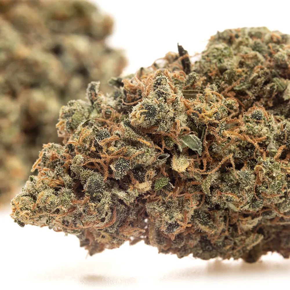 KGS_LEMON_COOKIES_CBD_004.webp