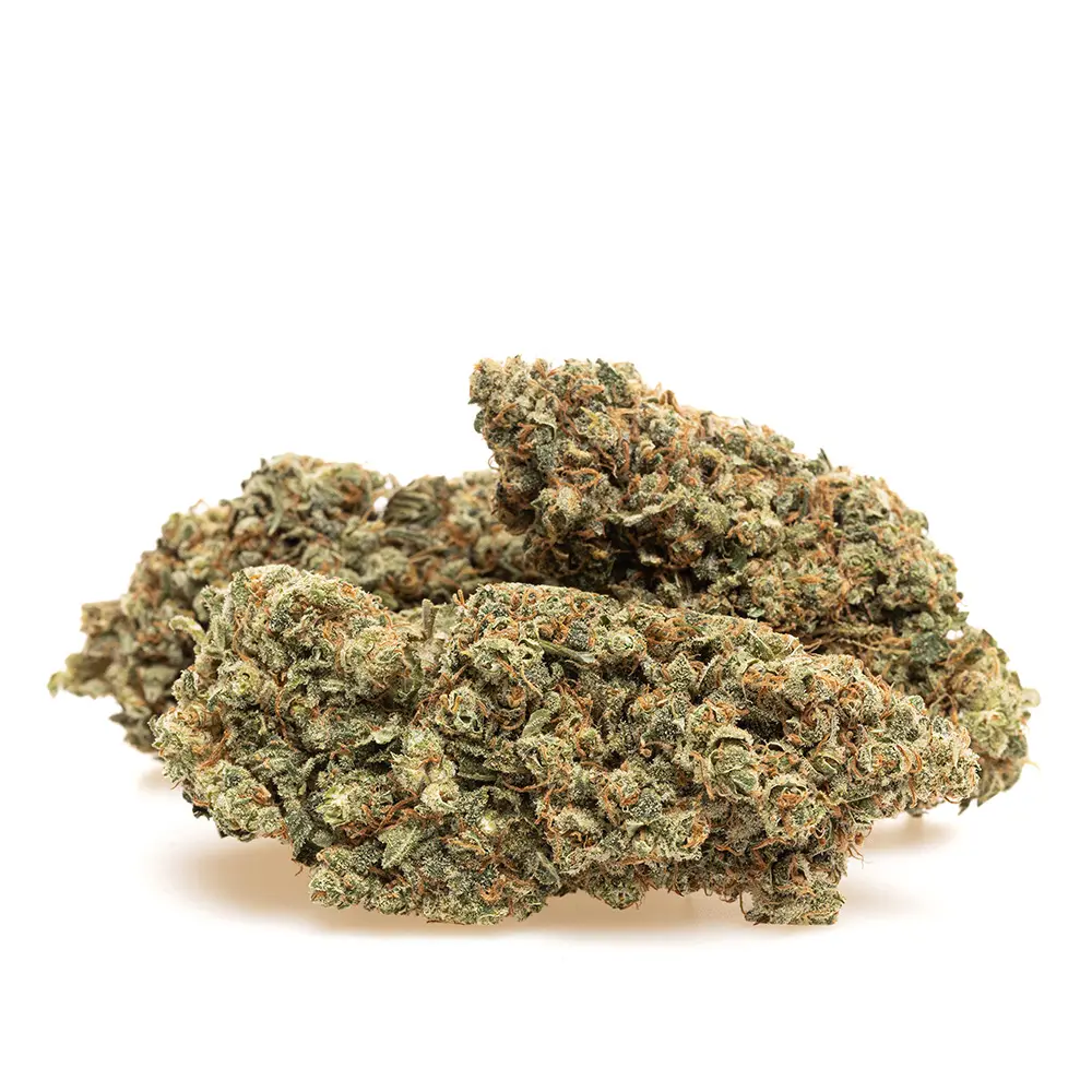 KGS_LEMON_COOKIES_CBD_003.webp