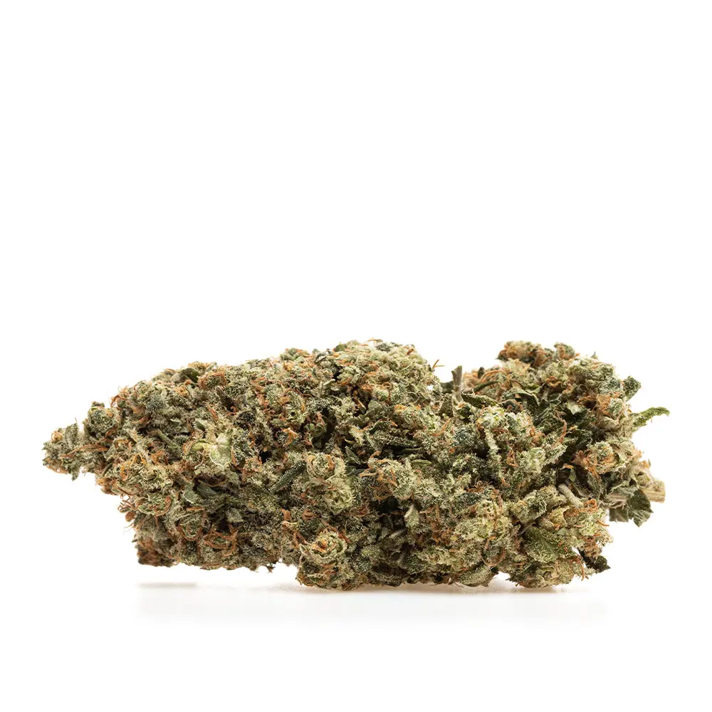 KGS_LEMON_COOKIES_CBD_002.webp
