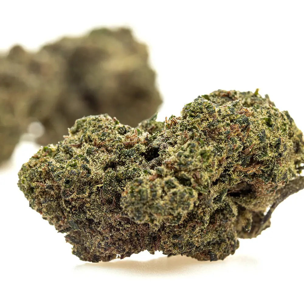 KGS_DMT_THX_CBD_004.webp