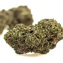 KGS_DMT_THX_CBD_004.webp