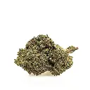 KGS_DMT_THX_CBD_002.webp