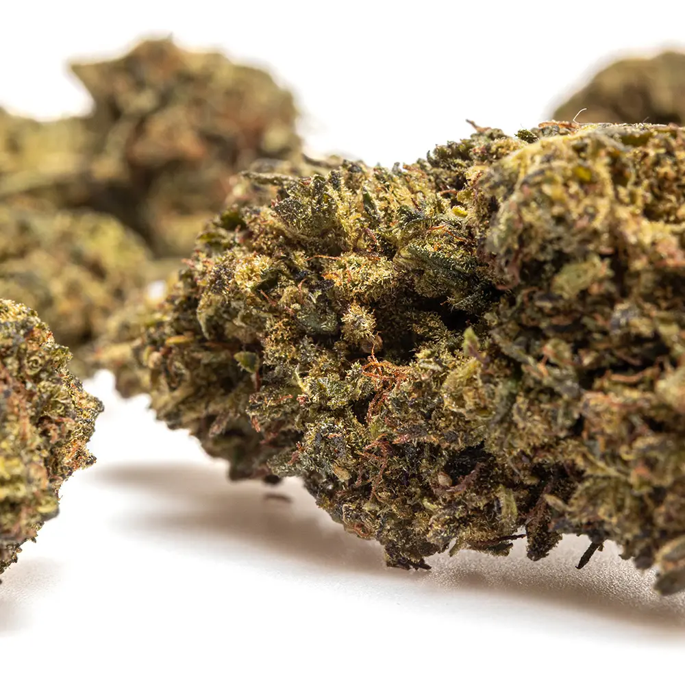 SUPER_LEMON_HAZE_THX_CBD_004.webp