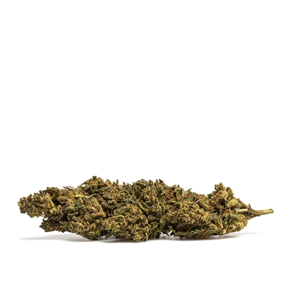 SUPER_LEMON_HAZE_THX_CBD_001.webp
