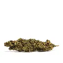 SUPER_LEMON_HAZE_THX_CBD_001.webp