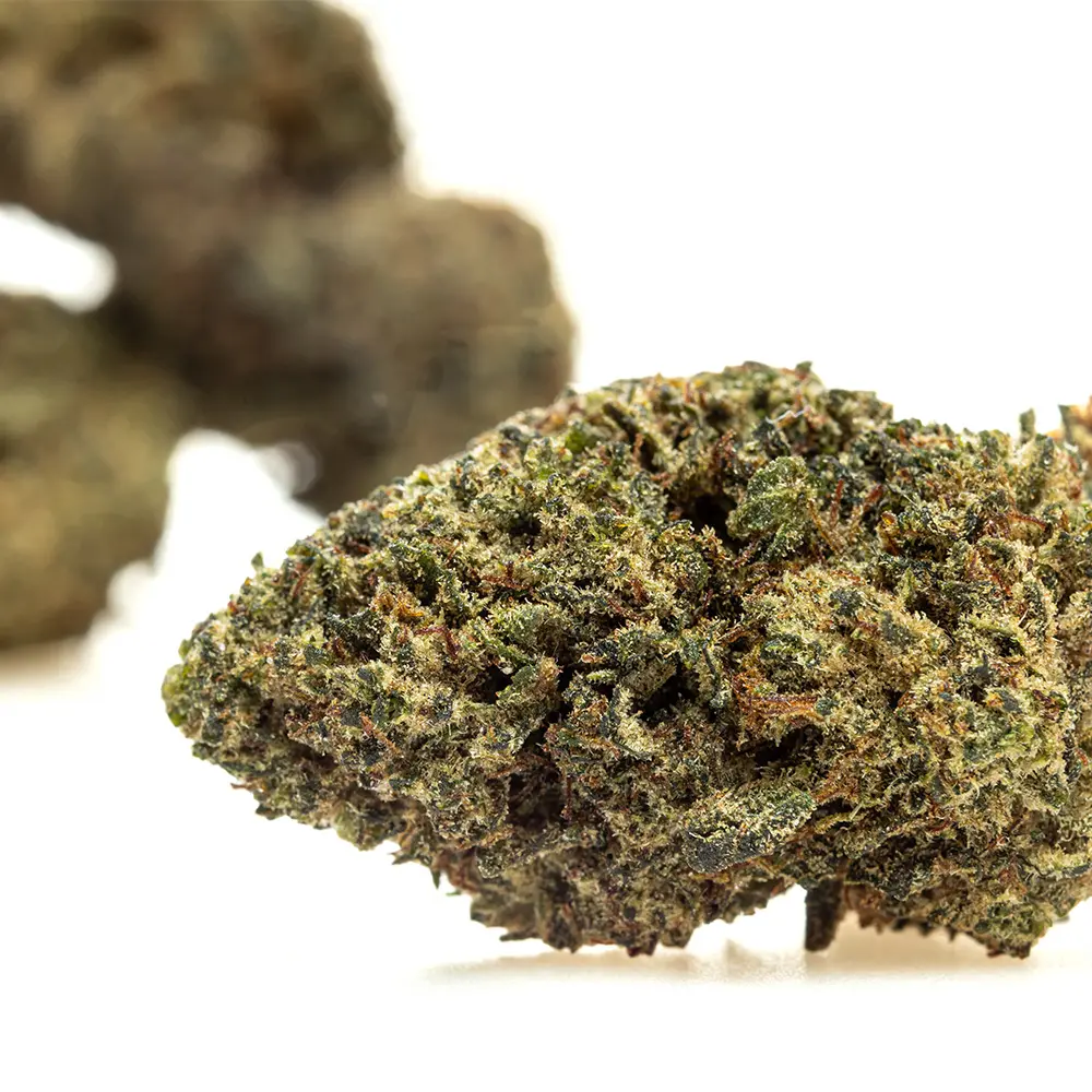 KGS_KALIGRAM_THX_CBD_004.webp