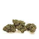 KGS_KALIGRAM_THX_CBD_003.webp