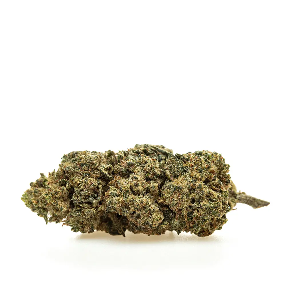 KGS_KALIGRAM_THX_CBD_002.webp