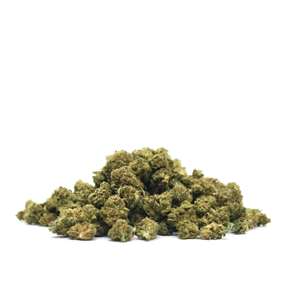FRUITCAKE_POPCORN_001.webp