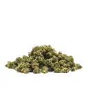 FRUITCAKE_POPCORN_001.webp
