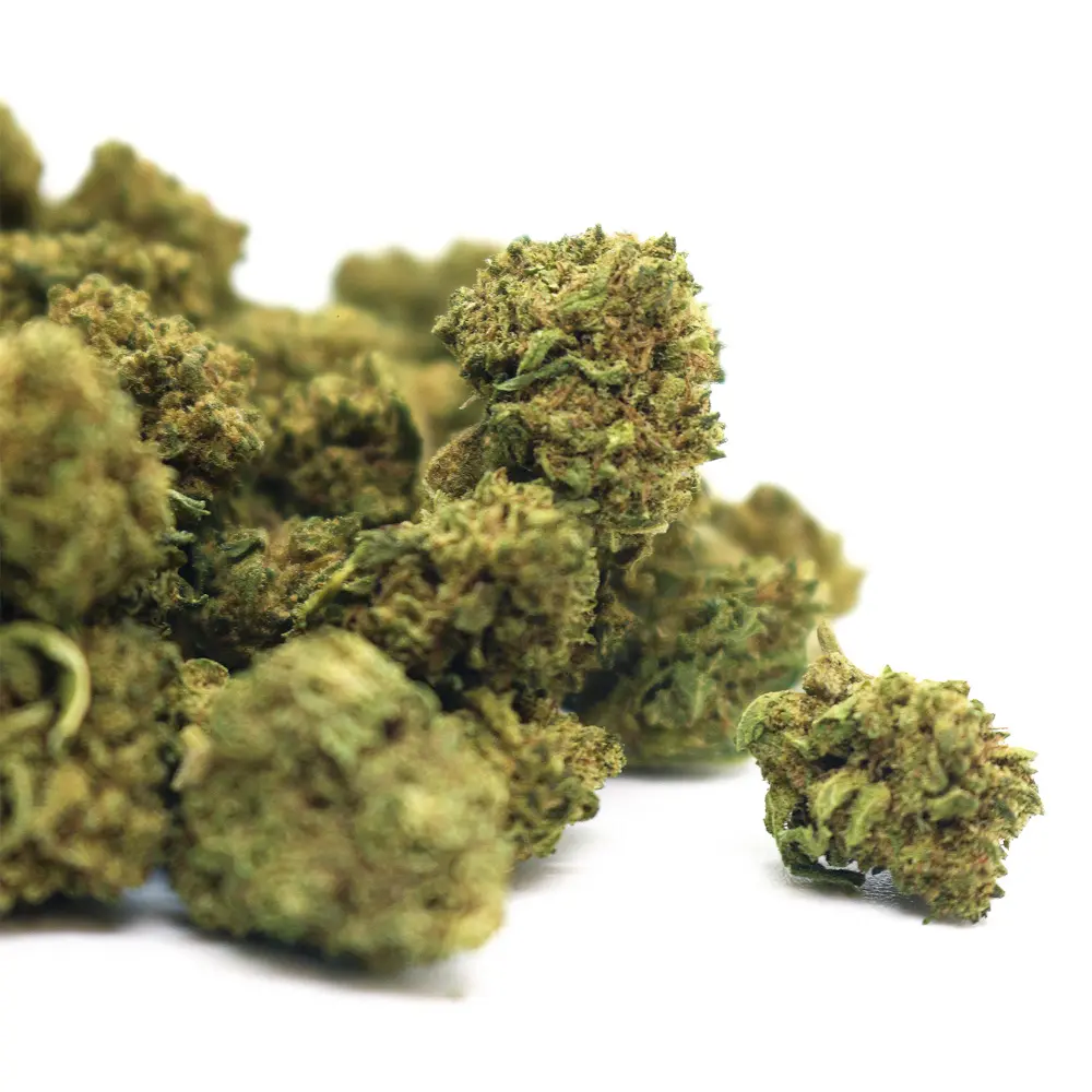 GELATO_POPCORN_002.webp