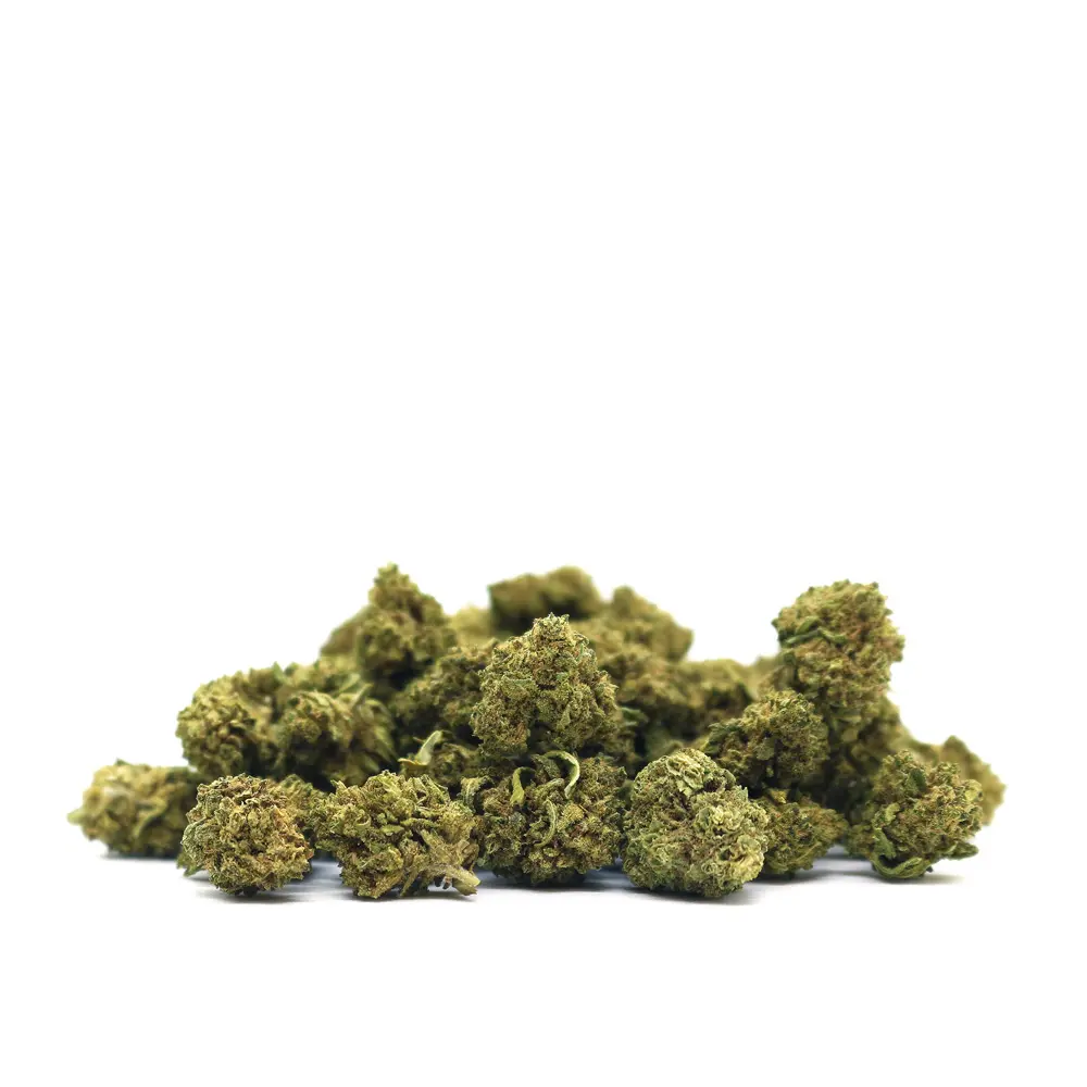 GELATO_POPCORN_001.webp
