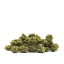 GELATO_POPCORN_001.webp